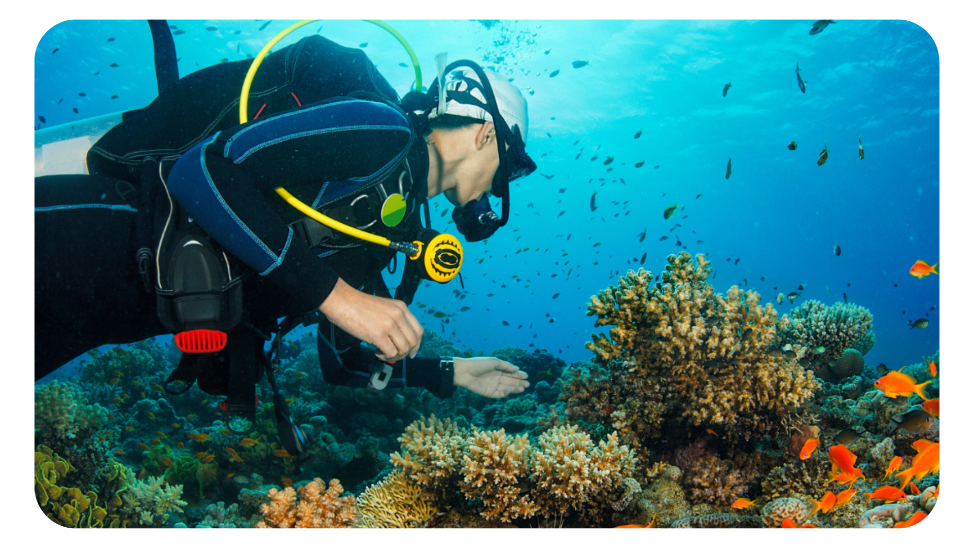 EarthLabs Coral Reefs, the Human View