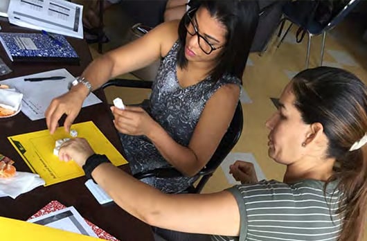 Paraeducators